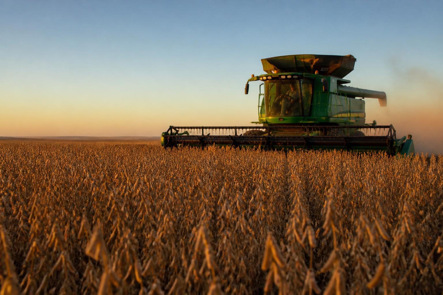 Colheita de soja no campo agrícola