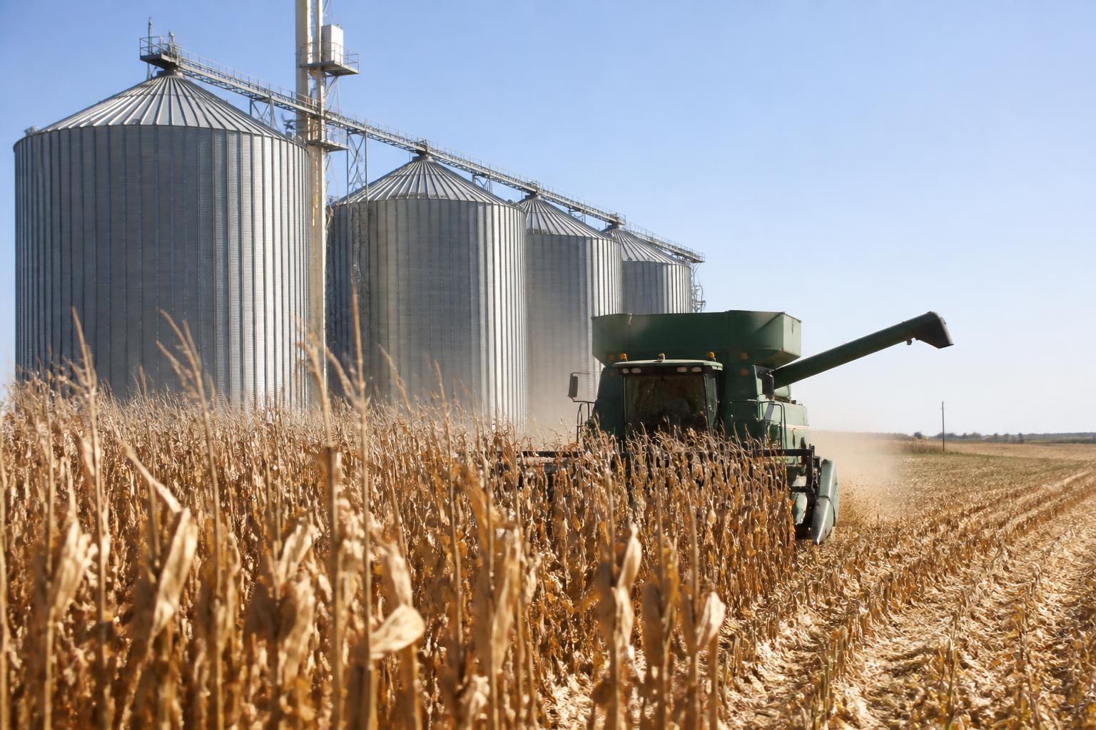 Campo de milho e silos de armazenamento de grãos no agronegócio.
